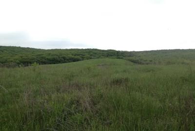 Teren de 4098 mp, în Miroslava - 5