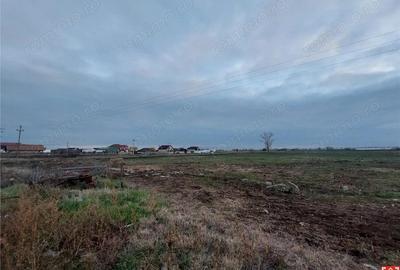 Teren pentru proiect rezidential sau industrial in Sanpaul - 2