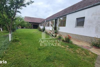 Casă cu 6 camere cu Teren 1017 Mp în Moșnița Nouă - 12
