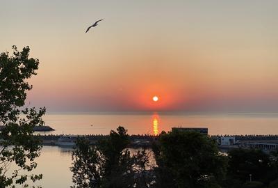 Peninsula , Piata Ovidiu - 7