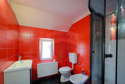 Casă cu 4 camere cu Teren 495 Mp în Nufărul - 14