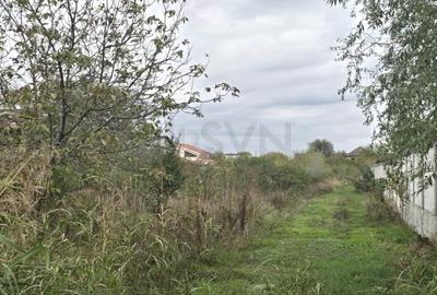 REL4001053 Teren de vanzare Domnesti - 2