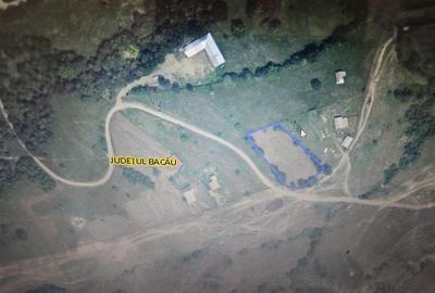 Teren Construcții extravilan de 2695 mp, în Exterior Est - 1