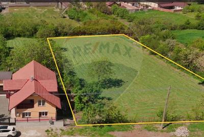 Teren Construcții intravilan de 3225 mp, în Șiria - 2