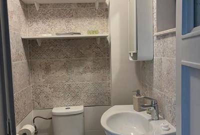 Oportunitate-Kiseleff, vila renovată D+P+E+M - 21