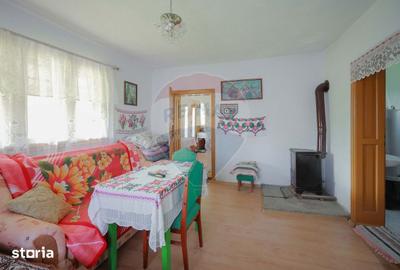 Casă cu 5 camere cu Teren 55706 Mp în Șinteu - 9