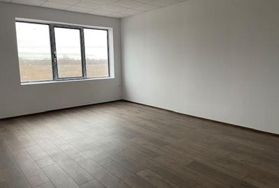 Spatiu depozitare si productie Soseaua de centrua Chitila - 9