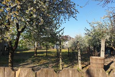 Vand casa 3 camere Roman - 1