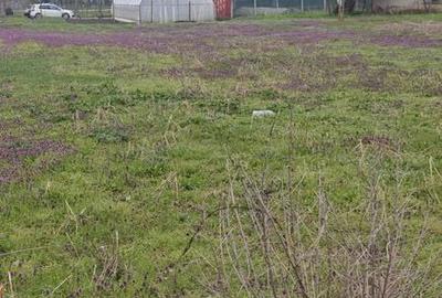 Teren de 1600 mp, în Daia - 6