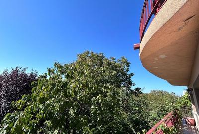 Casă individuală Buftea, 3.162 mp teren, ieșire spre lac Casă individuală Buftea, 3.162 mp teren, ieșire spre lac - 44