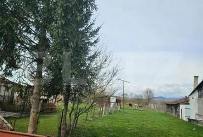 Casă cu 3 camere cu Teren 2766 Mp în Reghin - 4