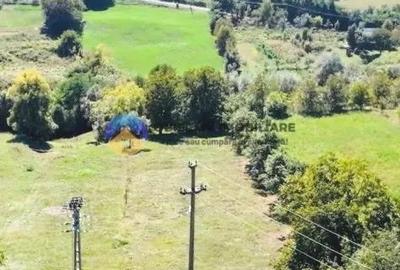 TEREN intravilan 2510 mp BORLE?TI - ?OVOAIA - 3