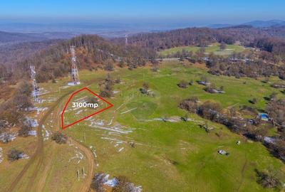 COMISION 0% Teren 3,100mp /Intravilan/ Dumbravi?a - 3