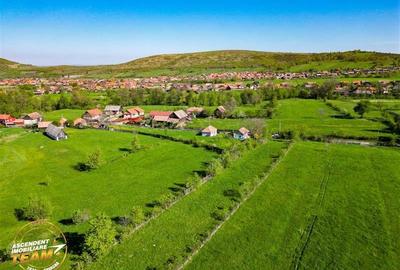 FILM! 2.063 mp de refugiu natural in localitatea Zagon, Covasna