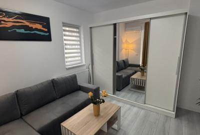 Apartament 2 camere Tineretului - 3