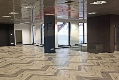 Birou, de 500 mp, în Ultracentral - 10