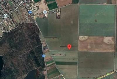 Oportunitate! Teren intravilan 10.128 mp - Destina?ie mixta - Brane?ti - 3