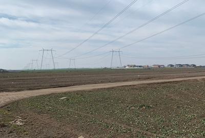 Teren în Berceni - 5