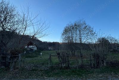 Teren de 1600 mp, în Mihăești - 2