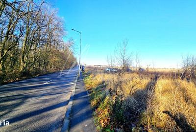 Teren de 826 mp, în Băneasa - 16