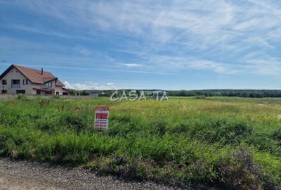 Teren Construcții intravilan de 3405 mp, în Preajba Mare - 4
