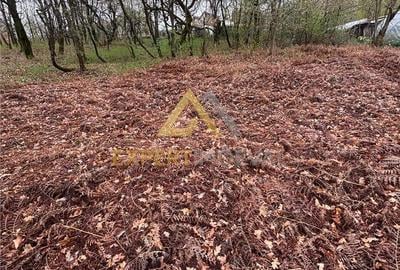 Teren de 1000 mp, în Groși - 4