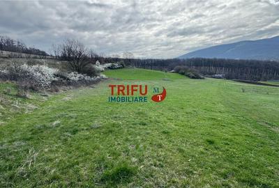 Teren de vanzare pentru cabana langa padure - 2