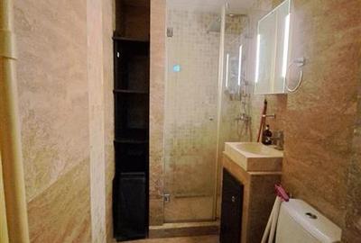 Garsonieră semidecomandată, mobilată în Vatra Luminoasă - 9