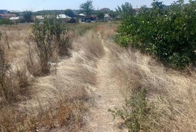 Teren în Broșteni - 3