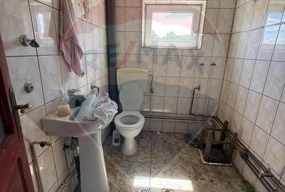 Casă individuală cu 5 camere cu Teren 8286 Mp în Preluca Nouă - 9