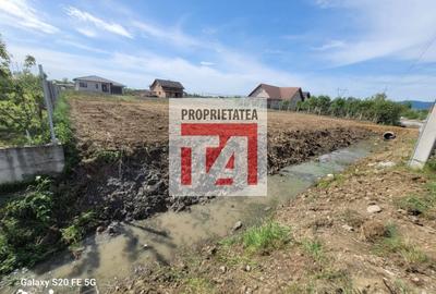 Teren de 1312 mp, în Coltău - 3
