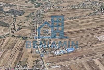 Teren de 24000 mp, în Șimnicu de Sus