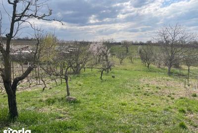 Casă cu 2 camere cu Teren 2052 Mp în Paleu - 4