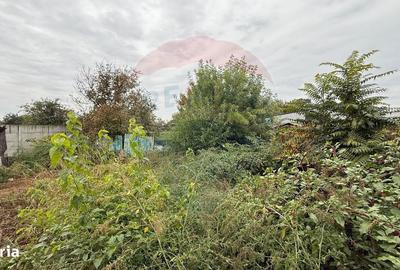 Spațiu comercial, de 130 mp, în Dobra - 1