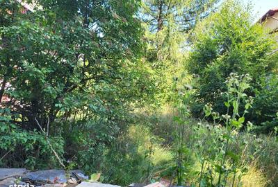 Casă cu Teren 1350 Mp în Poiana Țapului - 2