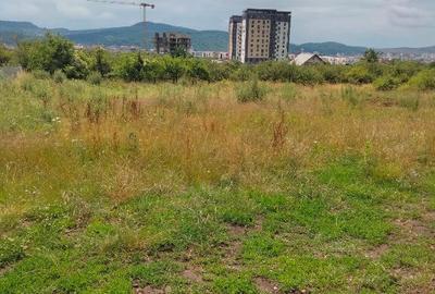 Teren intravilan Dr. D. Vechi , 1000 mp - 5