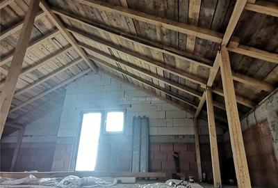 Pantelimon, Ferma animalelor, vila P M,2025 - 3