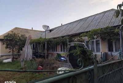 Casa de vanzare Jurilovca Izvoarelor 65 Casa de vanzare Jurilovca Izvoarelor 65 - 4