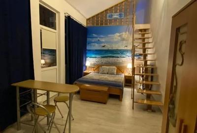 Garsonieră nedecomandată în Schitu - 3