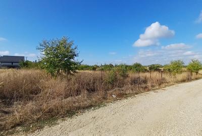 Ciolpani, Izvorani, apropiere padure si COR - 6