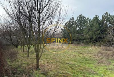 Teren intravilan Voluntari 473 mp front 20 m utilitati - 8