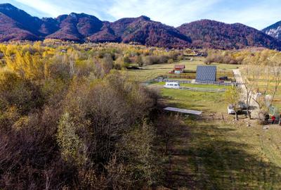 Teren Construcții intravilan de 2500 mp, în Tohănița - 16