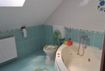 Colentina - Fundeni , Maior Bacila stradal - 1