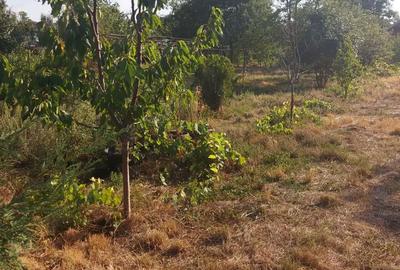 Casă cu 2 camere cu Teren 2251 Mp în Petrești - 7