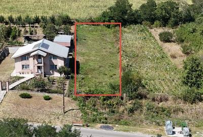 Teren de 900 mp, în Lipovăț - 4