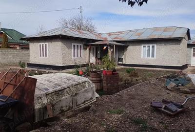 Casă cu 4 camere cu Teren 1600 Mp în Central - 3