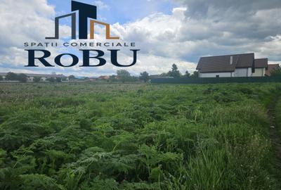 14 loturi de vanzare in HARMAN # Spatii comerciale RoBU - 2
