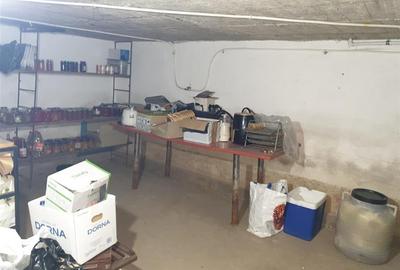 Teren Mare cu 2 case in Biharia. - 34