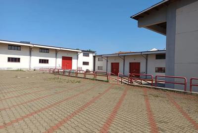 Spațiu comercial, de 15,000 mp, în Huși - 1