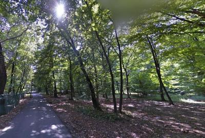 Teren cu deschidere la Padurea Snagov- Gruiu